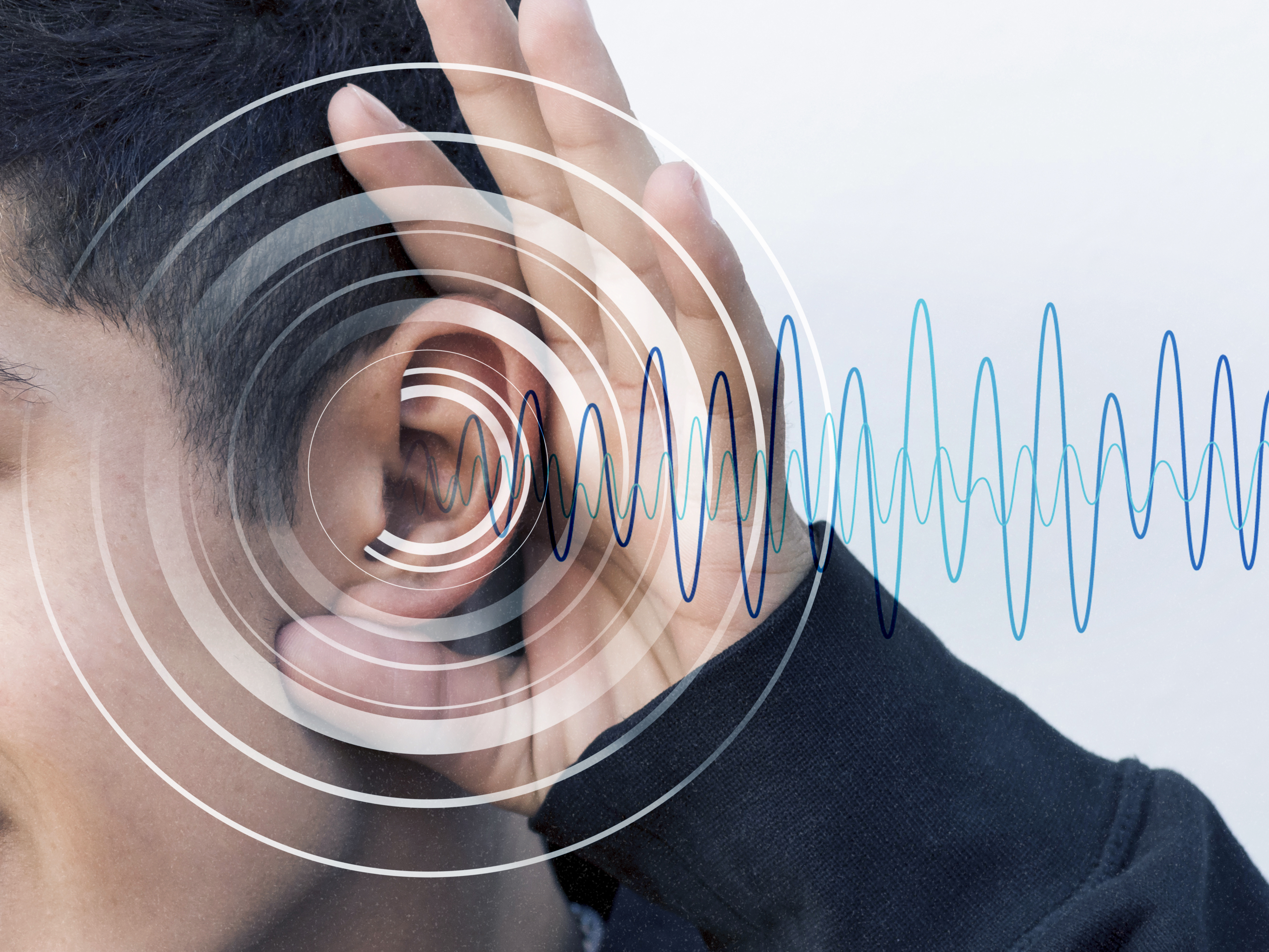 The Importance of Acoustic Sound Treatments for Clearer Sound